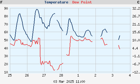 Weekly temperature and dew point graph