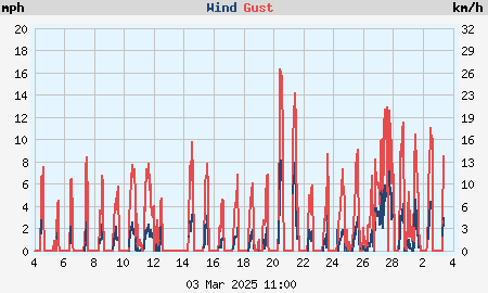 Monthly wind speed and gusts graph