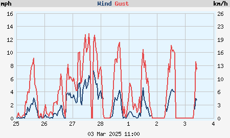 Weekly wind speed and gusts graph